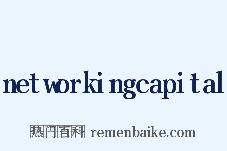 networkingcapital是什么意思的图片